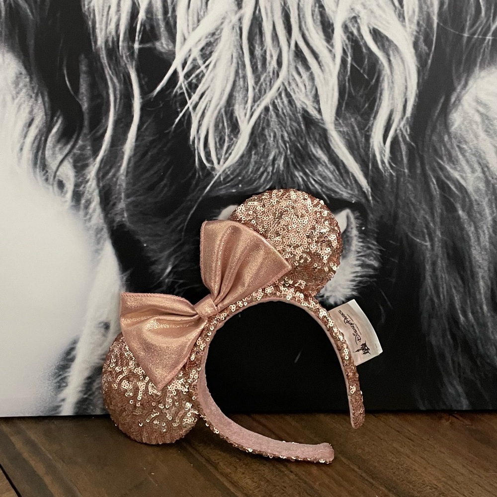 Disney Ears